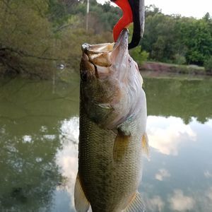 Meet your Posher, Jimmy